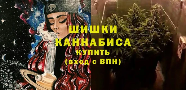 дживик Арсеньев