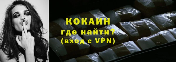дживик Арсеньев