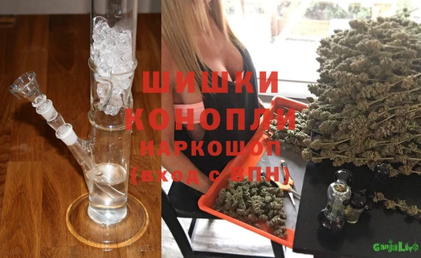 дживик Арсеньев