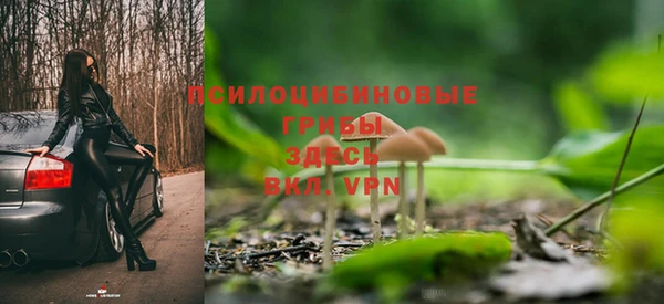 дживик Арсеньев